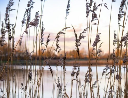 How Male Mentors Can Improve Positive Body Image in Young Men