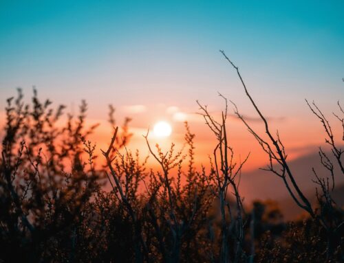 How a Lack of Goal Setting Can Affect Your Happiness in Life